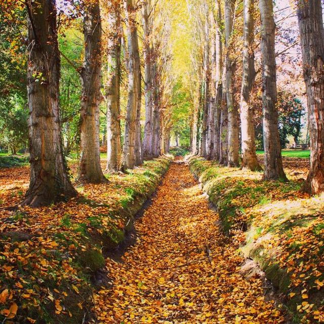 Aranjuez